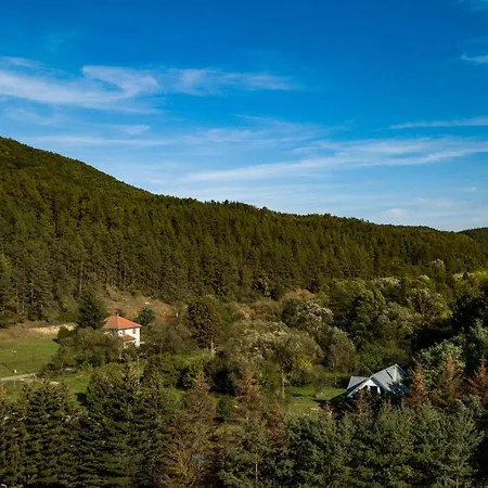 Zöldsziget Menedék, Rendezvény-és